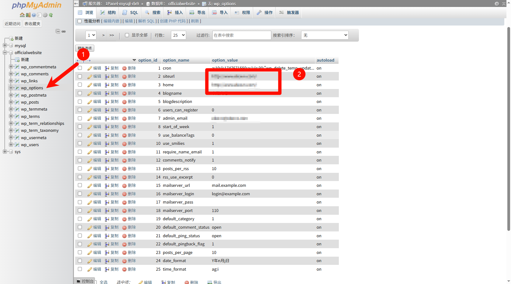 image-20250520002231831